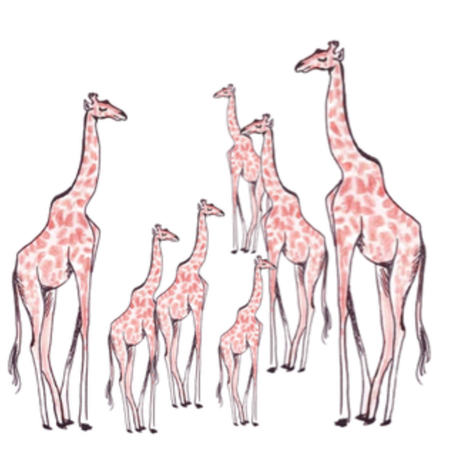 Forêt de girafes